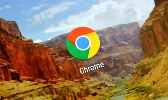 如何使用Chrome浏览器进行隐私浏览