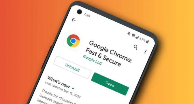 Google浏览器下载时的版本选择技巧