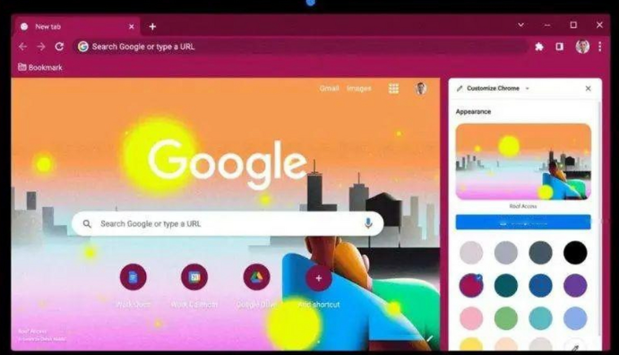 Google Chrome的浏览器设置与隐私保护技巧