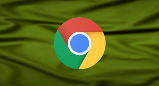 Chrome浏览器下载后用户隐私保护操作1