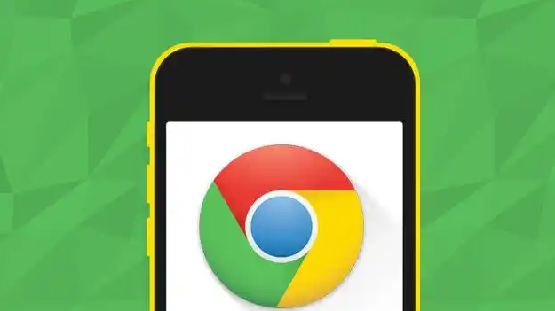 Google Chrome浏览器下载失败网络权限排查1