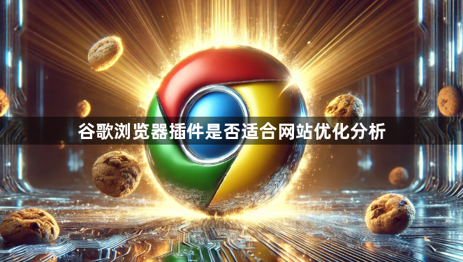 谷歌浏览器插件是否适合网站优化分析1