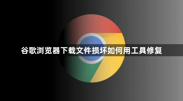 谷歌浏览器下载文件损坏如何用工具修复1