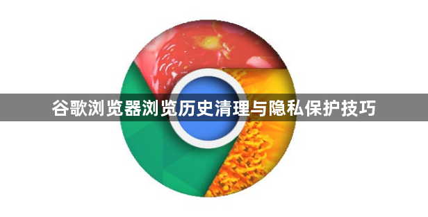 谷歌浏览器浏览历史清理与隐私保护技巧1