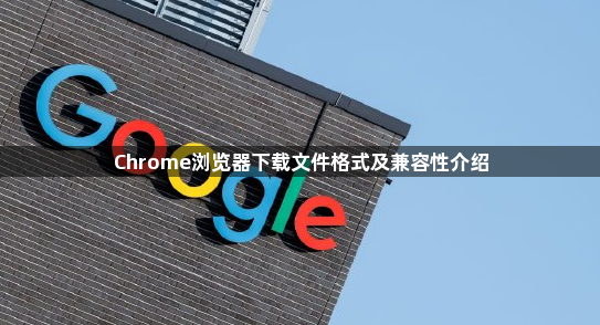 Chrome浏览器下载文件格式及兼容性介绍1