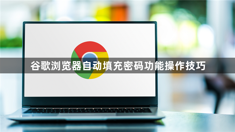 谷歌浏览器自动填充密码功能操作技巧1