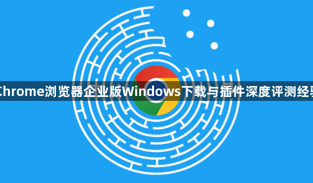 Chrome浏览器企业版Windows下载与插件深度评测经验1