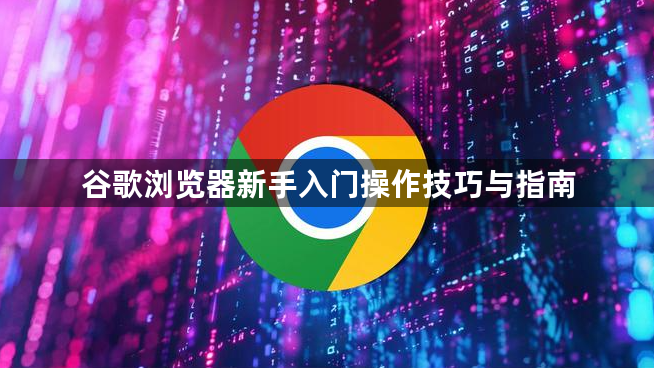 谷歌浏览器新手入门操作技巧与指南1